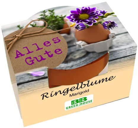Bull & Bear Mini Pflanzset 'Alles Gute' Ringelblume Samen Set mit Tontöpfchen mit Ringelblumensamen und Pflanzsubstrat