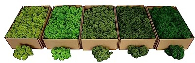 Hello Moss Islandmoos Norwegisch 0,5/1kg - Konserviertes Moos Live, voll biologisch - Moos Deko ideal für Ostern, Weihnachtsdekorationen - bastel moos, Terrarium moos (1kg, mittelgrün)