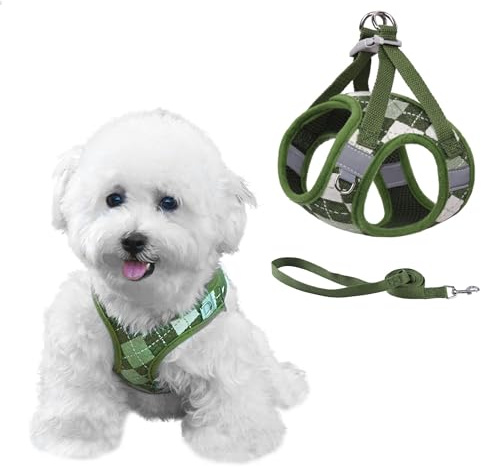 PawSailor Step-in Hundegeschirr Kleine Hunde Verstellbar No-Pull Welpengeschirr Mit Leine Reflektierend Karo-Muster Weich Mesh Brustgeschirr für Katzen und Welpen, Grün S