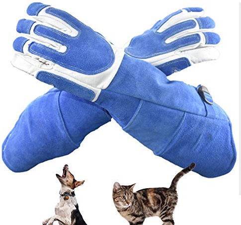 Des Gants Épaissir Anti-morsure Gants De Sécurité Dressage D'animaux Alimentation for Chien Chat Pet Morsure Gants De Protection Anti-Rayures 1 paire (Color : Blue, Size : XL)