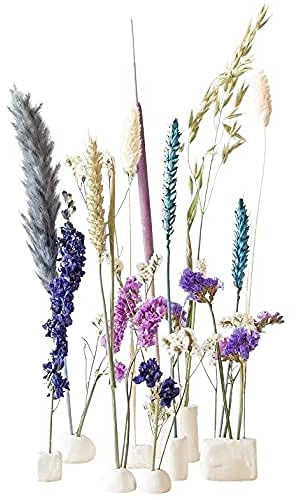 BloomPost Bloom & Clay Blue