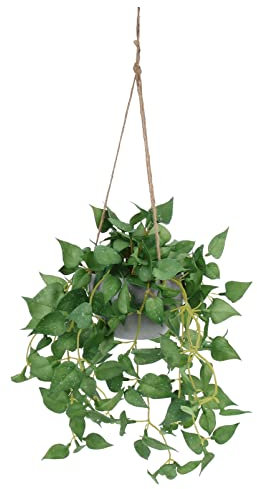 HOMSFOU Plantas Colgantes Artificiales con cestas de Hiedra Falsa con Hojas Falsas en Maceta, vegetación en Maceta de Seda, para jardín, Patio, Fiesta, decoración para Colgar en la Pared