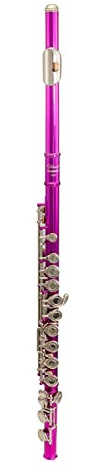 Elkhart 100FL Flöte, rosa
