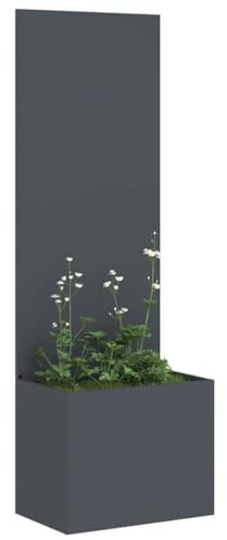 vidaXL Garten Sichtschutz-Leinwand Anthrazit 50 x 150 cm, Dekorative Einlagen, Moderne Garten- und Terrassenschirme, Sichtschutz, Landschafts-Panel, dekorative Trennwand