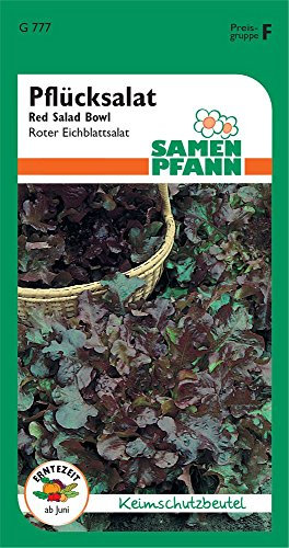 Samen Pfann G777 Pflücksalat Red Salad Bowl (Pflücksalatsamen)