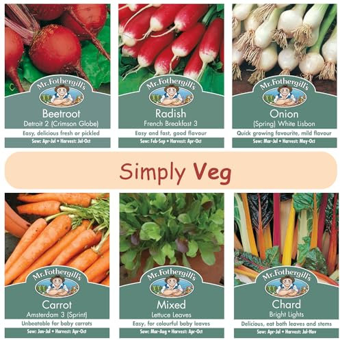 Mr. Fothergills Seedbox Simply Veg Collection (4775 seeds), Chard, Beetroot, Onion, Carrot, Radish, Lettuce Leaves, Vegetable Seeds Collection