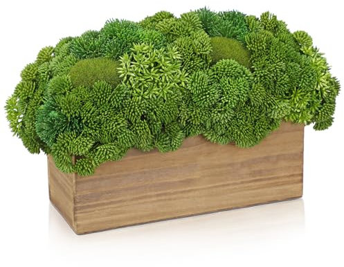 Briful Künstliche Sukkulenten, künstliche Sukkulenten-Arrangement im Holz-Pflanzgefäß, Kunstpflanzen für den Innenbereich, für Zuhause, Büro, Esstisch, Küchenregal, Dekoration