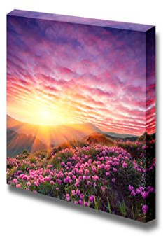 Spring Landscape in Mountains with Flower of a Rhododendron and The Sky with Cloud - Canvas Art Wall Art - 24 x 24