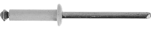 Restagraf Rivetto sbocciato in sacchetto per targa di immatricolazione, 4-11 mm di spessore, 16 mm di lunghezza, bianco, confezione da 52