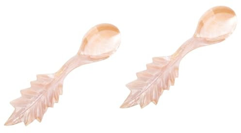 Abaodam 2piezas Cuchara De De Concha De Nácar Para Caviar Helados y Utensilios De Cocina Elegantes y De Diseño