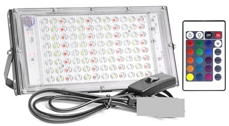 Faretto LED da Esterno, Proiettore LED RGB 50W 100W 300W Faretto LED Impermeabile IP65 Proiettore for Esterni Spina di Illuminazione con Telecomando per Giardino Garage Parco Stadi(100W)