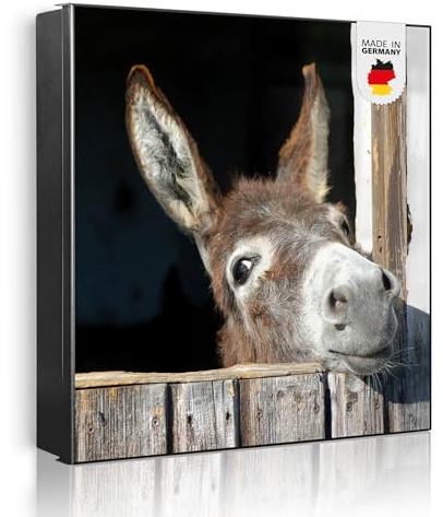 banjado Großer Schlüsselkasten Metall - Schlüsselbox 30x30cm beschreibbarer mit 32 Haken - Schlüsselkasten modern für Schlüsselaufbewahrung - Korpus Schwarz Scharnier Links - Motiv Nicki