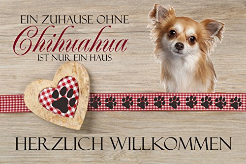 Creativ Deluxe Türschild/Wandschild-hochglänzend und Kratzfest - EIN Zuhause ohne Chihuahua ist nur EIN Haus Geschenkdeko