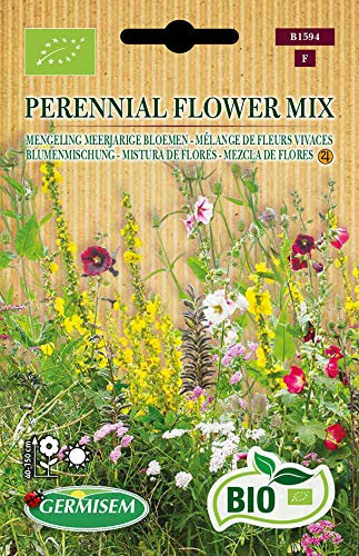 Germisem Biologico Perennial Semi di Mix di Fiori 1 g