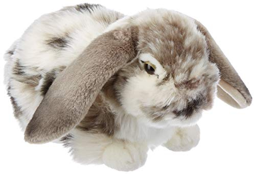 Living Nature AN316 Soft Toy Dutch Lop Ohr-Kaninchen, Grau und Beige, Sortierte Farbe, 30 cm, Unbekannt