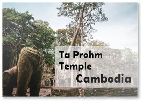 Ta Prohm Tempel, Angkor, Kambodscha, Fridge Magnet