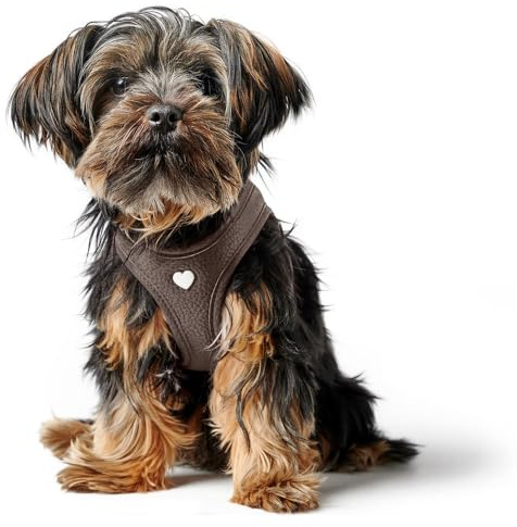 Hunter Hundegeschirr Love, Farbe: braun, weiches Rindsleder, atmungsaktive Mesh-Polsterung, Herz handgenäht, hoher Komfort, Made in Germany, Größe: S
