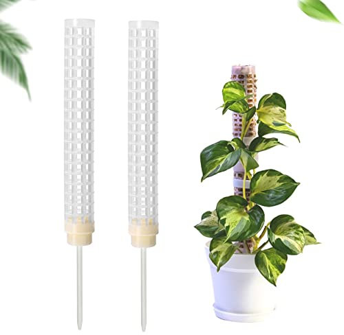 JIAHUA plantation en noix coco - Tuteur pour plantes grimpantes - En plastique - Pour Monstera - Support pour plantes grimpantes - 50 cm