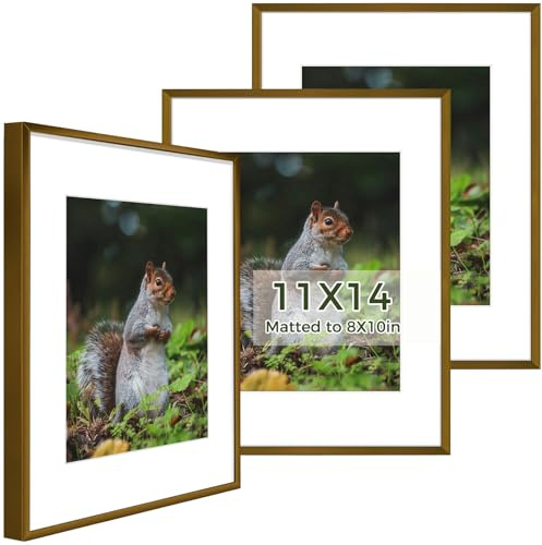 Golden State Art 11x14 Picture Frame 3 Pack - Aluminum Frames with 8x10 Removable Mats & Real Glass, Display 11x14 Posters or 8x10 Photos - Bronze Gallery Wall Frames for Home Office Decor