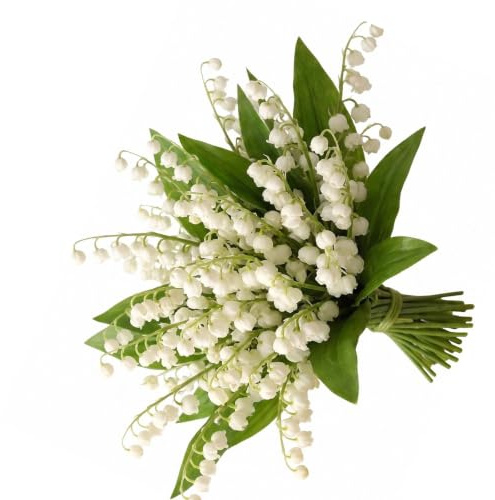 Plumaire 10 Pcs Artificial Flowers Of Lily Of The Valley, Artificial Flowers Vivid, Lily of The Valley Plastic Flower for Home Garden Party And Wedding Decoration