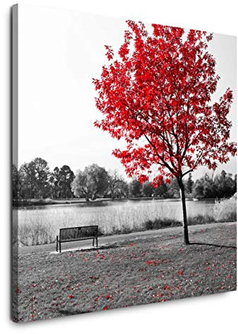 EAUZONE GmbH Parkbank unter einem Baum 90x90cm Wandbild auf Leinwand, Kunstdruck Moderne Bilder