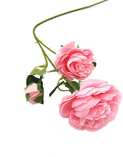 Shiwaki, 5 Piezas, 66 cm / 25 Pulgadas, 15 Cabezas, peonía Artificial, Flor de Seda, Hoja, Oficina, hogar, Boda, Fiesta, Festival, decoración de Bar (Rosa Oscuro)