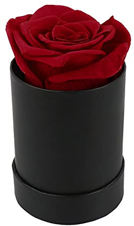 Mini Handgefertigte Rosenblume, Mini-Umarmungseimer, Konservierte Blumen, Kleiner Blumeneimer, Einzelne Rose, Runde Konservierte Blumenarrangement-Box, Runde Geschenkbox für Den Valentinstag(Rot)