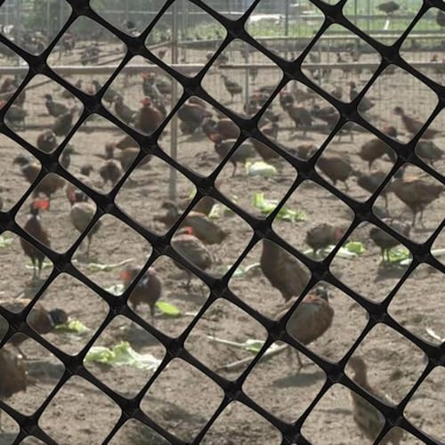 SSDDLZEQ Plastic Wire Mesh Black Poultry Farming Fence Outdoor Garden Temporary Fence Deer Fence Mesh(2x50m(6.56x164ft))