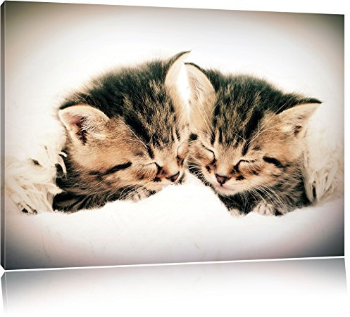 Pixxprint Katzen Herzform, Größe: 60x40cm, Leinwandbild, fertig gespannt, Wandbild, Dekoration, Kunstdruck, kein Poster