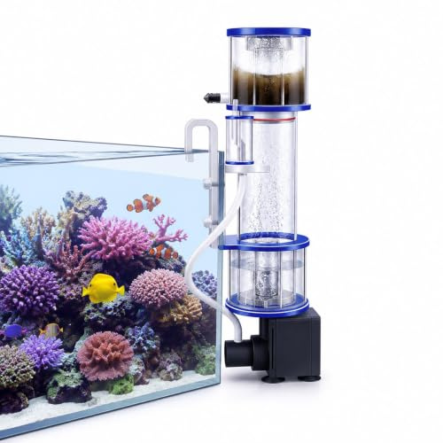 Skimmer De Superficie Para Pecera, Filtro Fraccionador Marino Compacto 8W