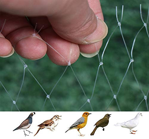 APOE Anti Butterfly Netting Anti Bird Netting Transparent Garden Net Mesh for Fruit Bushes Crop Plant Protection 3 × 5m (2×2cm Holes)