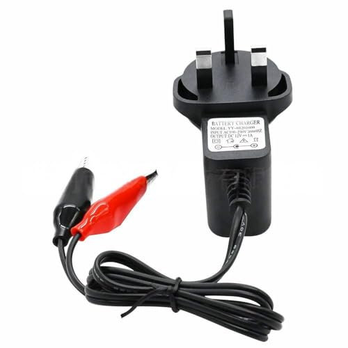 Newyuan Sealed Lead Acid Battery Charger with Alligator Clip and LED Indicator Light, 12V 1A(SLA) Pb Battery Smart Charger for Car Moto Lawnmower