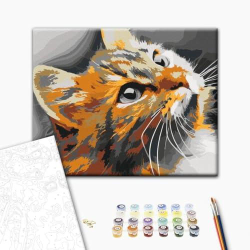 murando - Malen nach Zahlen Katze, 50x40 cm, Erwachsene, Kinder, Hobby | Malset mit Holzrahmen, ideal für Erwachsene und Kinder, entspannendes Hobby, entspannend, hochwertig, langlebig, kreativ