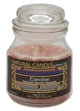 BONTURI 1060811 Duftkerze Natural Candle aus Wachs, 100% pflanzlich, Duft Emotion, 90 g
