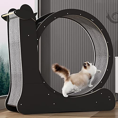 Katzenlaufrad, Katzenlaufrad mit Kratzbrett, geräuscharmes Indoor-Katzenübungsrad, geräuschloses, Sich drehendes Katzensportspielzeug mit Sicherungsstift, Schwarz