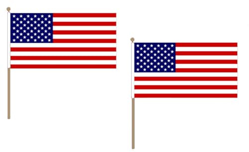 Drapeau Etats-Unis 45x30cm HAMPE en bois - LOT DE 10 Drapeaux américain - USA 30 x 45 cm - AZ FLAG