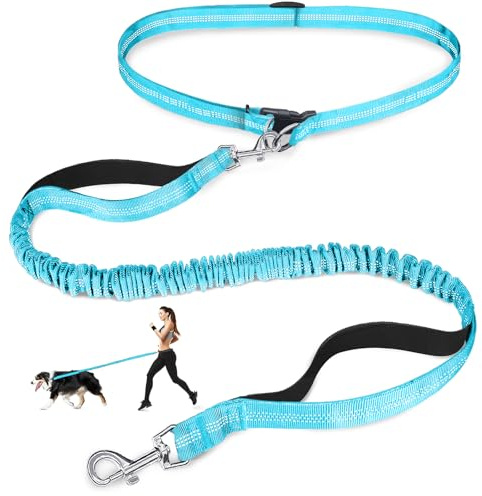 Laqibak Hands Free Dog Leash, Adjustable Waist Leash for Dog Walking, Dual Handle Bungee Dog 4.2-6.7 Feet Long with Reflective Stitches for Walking Hiking Running, Fits 26- 43 Inch Waist, Blue