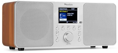 Audizio Genua DAB Radio con Bluetooth – Stereo DAB Plus Radio con telecomando, 60 slot di memoria, Auto Scan, Line-Out, USB, ideale per casa e in viaggio, facile da usare – Argento