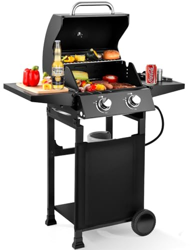 RYHOFOUD 2-Burner Gas Grill with 234 SQ.IN. Outdoor Grill with 16,000 BTU,Propane Grills with Top Cover Lid,Grills Outdoor Cooking for Patios,Camping,Balcony-Q039