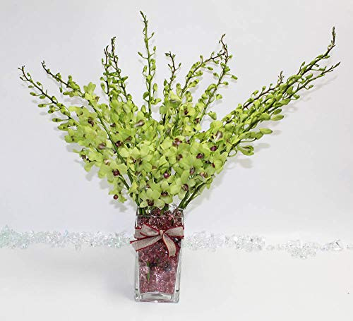 Athena's Garden Fresh Cut Orchids 20 Sleek Vase Rocks, Long Stem, Jade Green