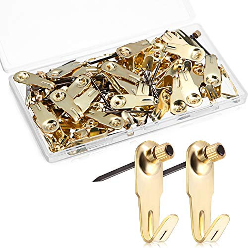 Plaster Picture Hangers Picture Hanging Kit with Nails Picture Hooks Gold for Plaster Wall Wooden Wall Drywall Mounting (50, 20 lbs)