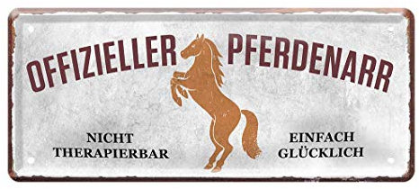 Offizieller Pferdenarr - Retro Deko Metallschild - Blechschild mit lustigen Spruch für Pferdeliebhaber und Besitzer - Wanddeko oder Türdeko - Schilder Geschenkidee für Pferdefreunde - 28x12cm