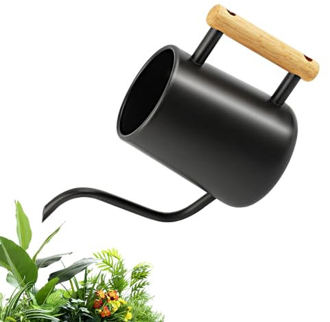 Gießkanne Klein 1L, Giesskanne Zimmerpflanzen mit langem Auslauf und komfortablem Holzgriff, Edelstahl Gieskanne für Topfpflanzen Sukkulenten, Schwarz Gartengießkanne für Drinnen, Watering Can