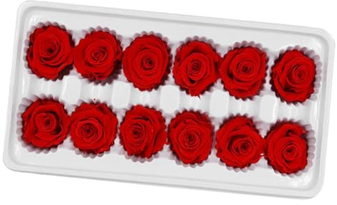 ZUNOXAZ 12 Pezzi Rosa Stabilizzata Bouquet Decorazione Di Nozze Fiore Immortale Rosso Piccolo Regalo Per Casa E Festa Fiore Conservato Per Atmosfera Romantica