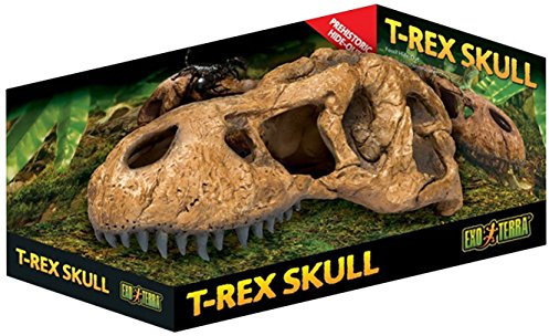 Exo Terra T-Rex skalle, säkert gömställe för reptiler och amfibier, stor, 1 st (1-pack)