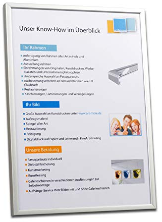 Art & More DIN A4 Bilderrahmen Aluminium Silber matt für Urkunden Dokumente 21 x 29,7 Antireflex Wechselrahmen