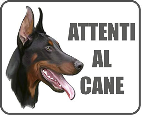 Quattroerre 1566 Cartello Adesivo Attenti al Cane, 20 x 24 cm