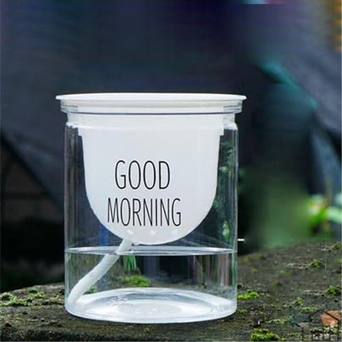 Vaso Semi Idroponico, Vasi da Fiori in Plastica Trasparente per Casa Ufficio, Vaso da Fiori in Plastica per Piante da Interno, Irrigazione Autoassorbita (Fondo tondo)