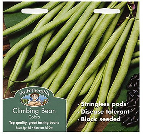 Mr Fothergill's 14157 Vegetable Seeds, Climbing French Bean Cobra