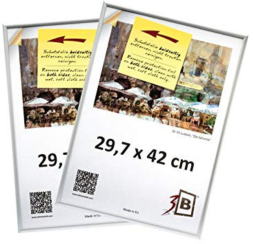3-B Set di 2 Pezzi Cornici Alu Foto 29,7x42 cm (A3) - Argento Opaco - Telaio in Alluminio, Cornice Foto